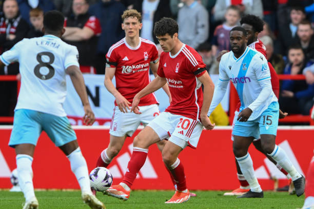 中锋不仅仅 中锋不仅仅